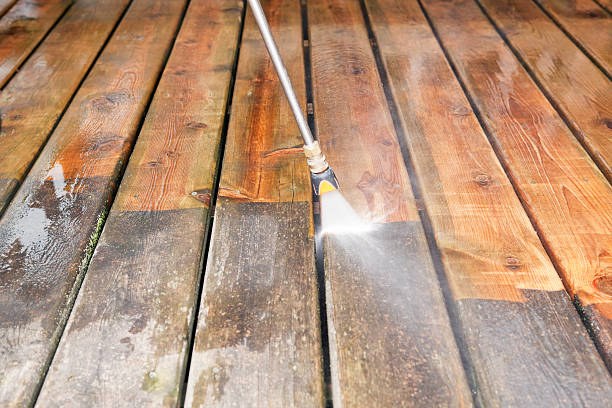 Animal Enclosure Cleaning in Mcswain, CA